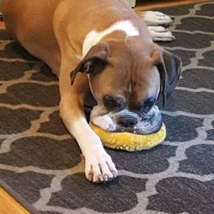 Meet your Posher, Guy